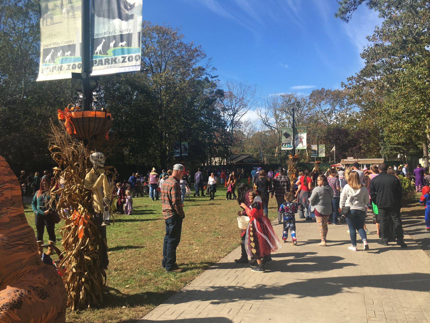 Boo at the zoo